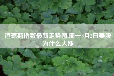 道琼斯指数最新走势图,周一3月2日美股为什么大涨