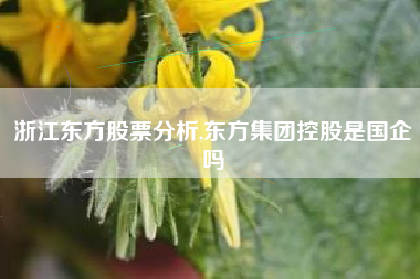 浙江东方股票分析,东方集团控股是国企吗
