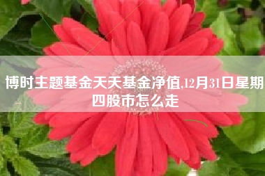 博时主题基金天天基金净值,12月31日星期四股市怎么走