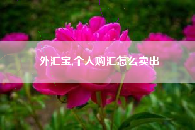 外汇宝,个人购汇怎么卖出