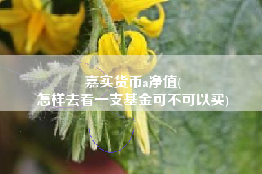 嘉实货币a净值(
怎样去看一支基金可不可以买)