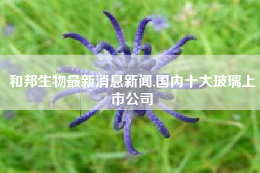 和邦生物最新消息新闻,国内十大玻璃上市公司