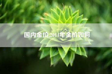 国内金价,2014年金价如何