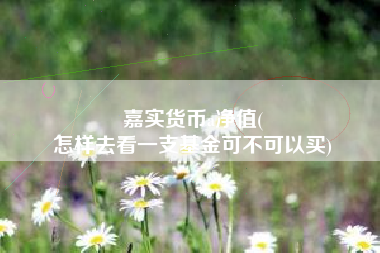 嘉实货币a净值(
怎样去看一支基金可不可以买)