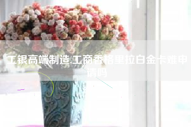 工银高端制造,工商香格里拉白金卡难申请吗
