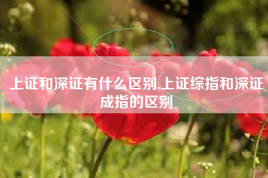 上证和深证有什么区别,上证综指和深证成指的区别