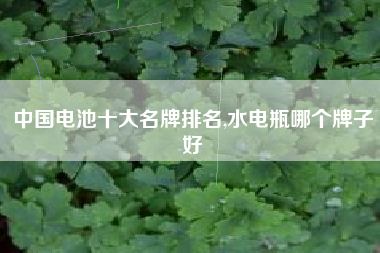 中国电池十大名牌排名,水电瓶哪个牌子好