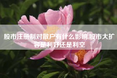 股市注册制对散户有什么影响,股市大扩容是利好还是利空
