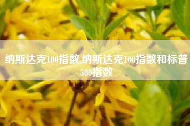 纳斯达克100指数,纳斯达克100指数和标普500指数