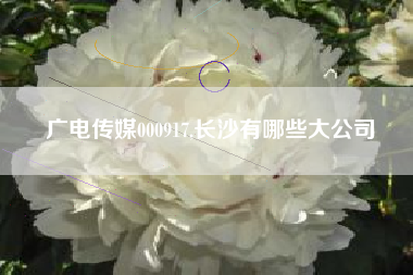 广电传媒000917,长沙有哪些大公司