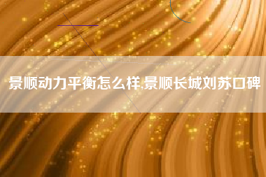 景顺动力平衡怎么样,景顺长城刘苏口碑