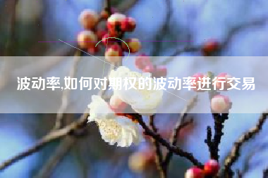 波动率,如何对期权的波动率进行交易