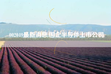 002049最新消息,国企半导体上市公司