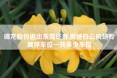 锦龙股份退出东莞证券,奥迪白云机场专属停车位一共多少车位