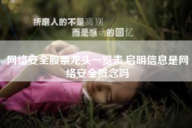 网络安全股票龙头一览表,启明信息是网络安全概念吗
