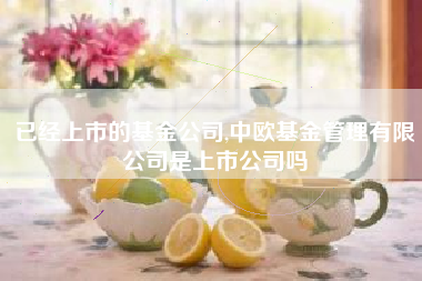 已经上市的基金公司,中欧基金管理有限公司是上市公司吗