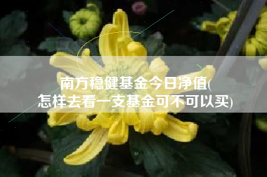 南方稳健基金今日净值(
怎样去看一支基金可不可以买)