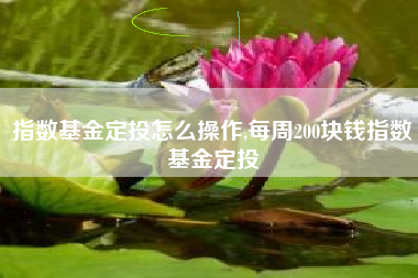 指数基金定投怎么操作,每周200块钱指数基金定投