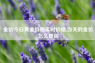 金价今日黄金价格实时价格,当天的金价怎么查询