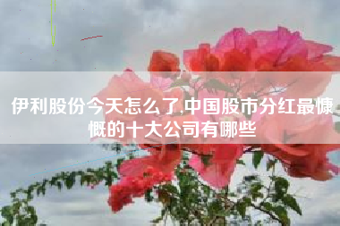 伊利股份今天怎么了,中国股市分红最慷慨的十大公司有哪些