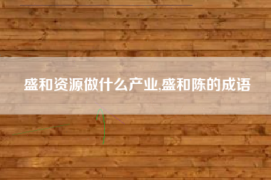 盛和资源做什么产业,盛和陈的成语