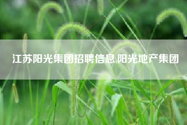 江苏阳光集团招聘信息,阳光地产集团