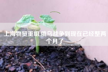 上海物贸重组,俄乌战争到现在已经整两个月了
