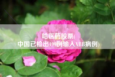 哈医药股票(
中国已检出199例输入XBB病例)