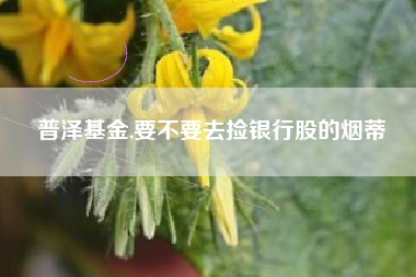 普泽基金,要不要去捡银行股的烟蒂