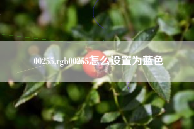 00255,rgb00255怎么设置为蓝色