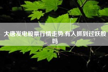 大唐发电股票行情走势,有人抓到过妖股吗