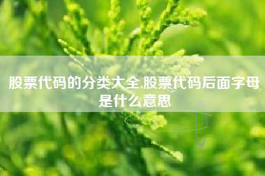 股票代码的分类大全,股票代码后面字母是什么意思