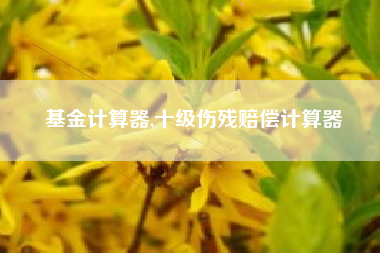 基金计算器,十级伤残赔偿计算器