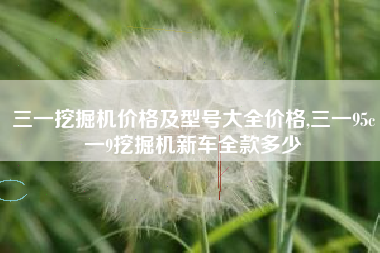 三一挖掘机价格及型号大全价格,三一95c一9挖掘机新车全款多少