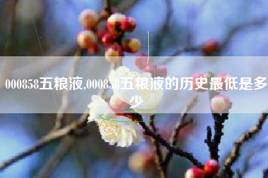 000858五粮液,000858五粮液的历史最低是多少