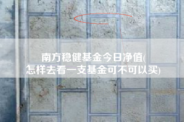 南方稳健基金今日净值(
怎样去看一支基金可不可以买)