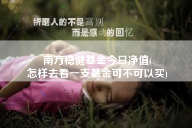 南方稳健基金今日净值(
怎样去看一支基金可不可以买)