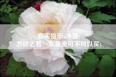 嘉实货币a净值(
怎样去看一支基金可不可以买)