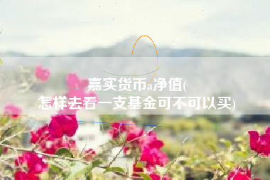 嘉实货币a净值(
怎样去看一支基金可不可以买)