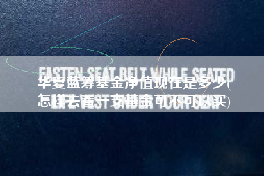 华夏蓝筹基金净值现在是多少(
怎样去看一支基金可不可以买)