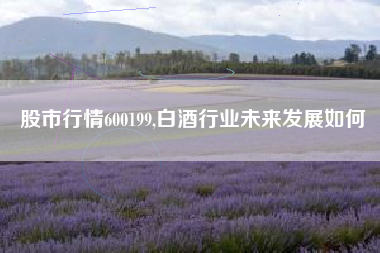 股市行情600199,白酒行业未来发展如何