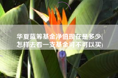 华夏蓝筹基金净值现在是多少(
怎样去看一支基金可不可以买)