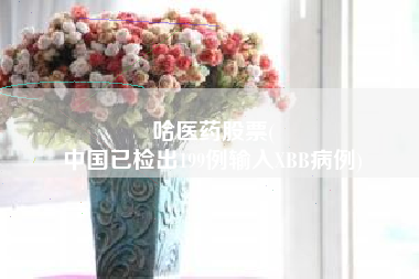 哈医药股票(
中国已检出199例输入XBB病例)