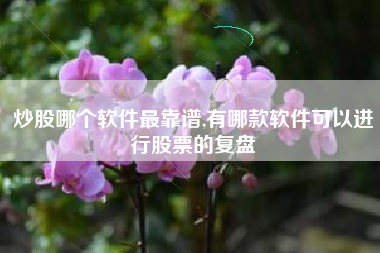 炒股哪个软件最靠谱,有哪款软件可以进行股票的复盘