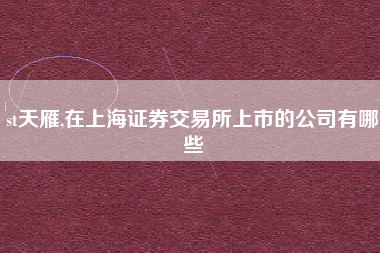 st天雁,在上海证券交易所上市的公司有哪些