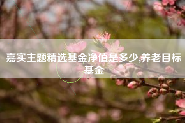 嘉实主题精选基金净值是多少,养老目标基金