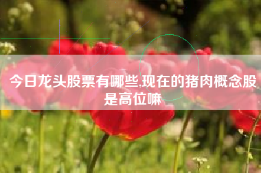 今日龙头股票有哪些,现在的猪肉概念股是高位嘛