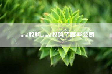 amd收购,amd收购了哪些公司