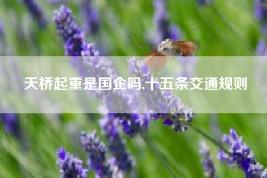 天桥起重是国企吗,十五条交通规则