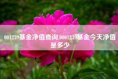 001239基金净值查询,0001239基金今天净值是多少
